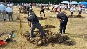 Венгрии прошёл чемпионат по копке могил