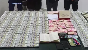 Qozog‘istonga 1,2 mln dollarni yashirincha olib o‘tmoqchi bo‘lganlar ushlandi