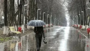 В Узбекистане 17 января будет дождь и снег