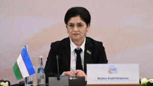 Senat o'smirlarni hujjatsiz ishga joylashtirish masalasini nazoratga oldi