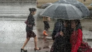 2 mart kuni O‘zbekistonda ob-havo turlicha bo‘ladi.