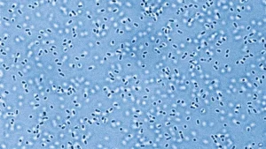 Scientists restored a 3.2 billion-year-old enzyme