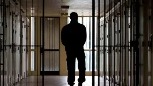 2025 yilda 63 mingdan ortiq jinoyat ishi ko‘rildi