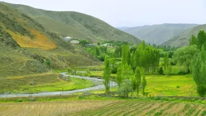 O‘zbekistonda 12-14 may kunlari qanday ob-havo kutilmoqda? "O‘zgidromet" ma’lumot berdi