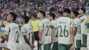 Botafogo va Palmeiras o‘rtasidagi o‘yinda gollar kam bo‘ladi