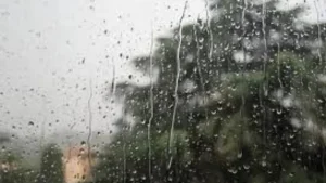 Toshkentda bugun o'zgaruvchan ob-havo va yomg'ir kutilmoqda