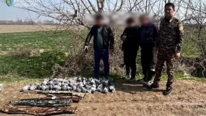 В Янгиюле два гражданина уничтожили 52 попугая