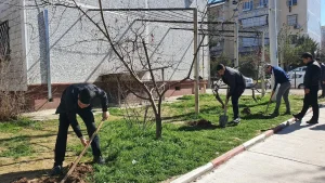 O'zbekistonda Yosh ekolog ko'krak nishoni ta'sis etildi