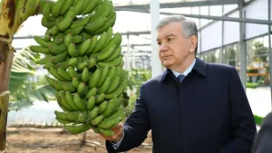 Prezident “Tomorqa maktabi” faoliyati bilan tanishdi