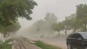 O'zbekistonning ayrim hududlarida kuchli shamol va chang kutilmoqda