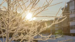 2-fevral kuni ayrim hududlarda yomg‘ir yog‘adi.