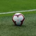Botafogo's head coach has left the championship