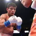 May is full of battles: MMA and boxing stars delight the audience!