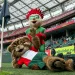 Grishin: Lokomotiv's summer transfers will be interesting