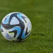 Pavel Nedved barcha chex terma jamoalarini boshqaradi