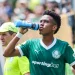 Palmeiras coach defended Estevao