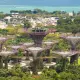 Singapur shaharlarini soyali va yashil qildi