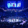 UAE Warriors 60: Узбекстанцы на большой вечер бокса в Абу-Даби